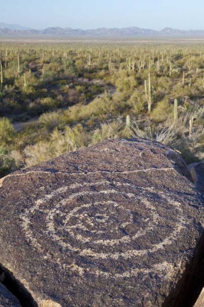 Arizona, Saguaro NP Hohokam Indian petroglyph